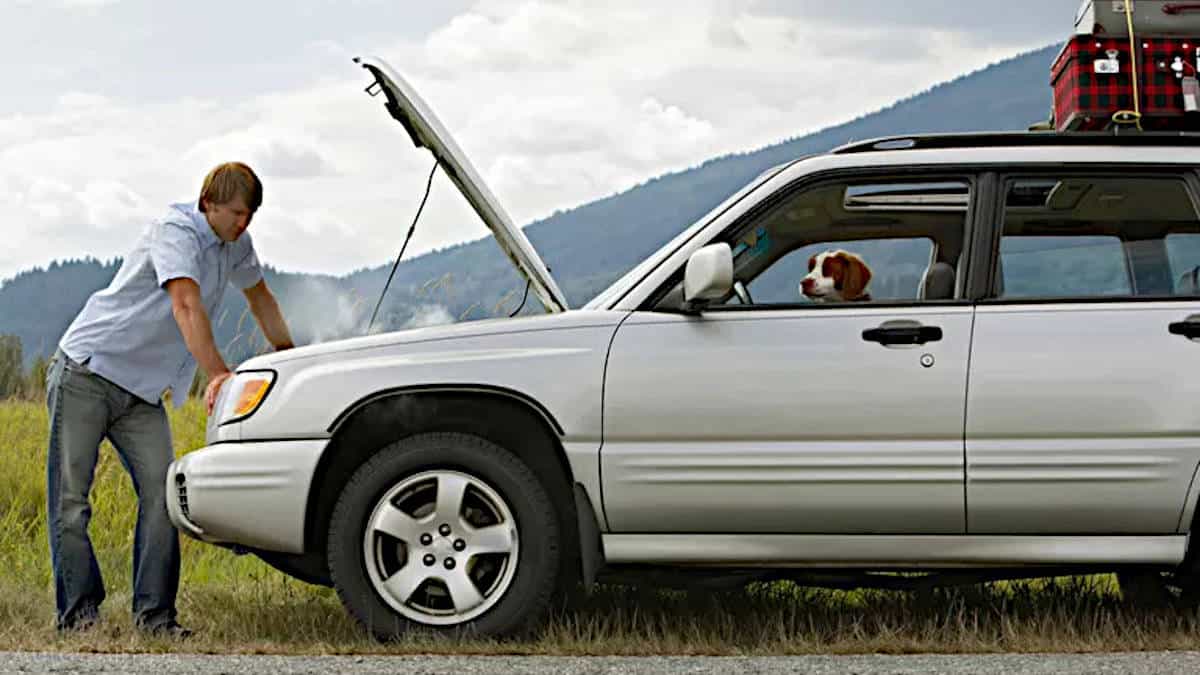 man opens hood of overheating car while dog sits in car 1