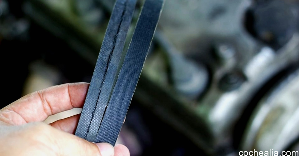 cochealia.com Inspect serpentine belt