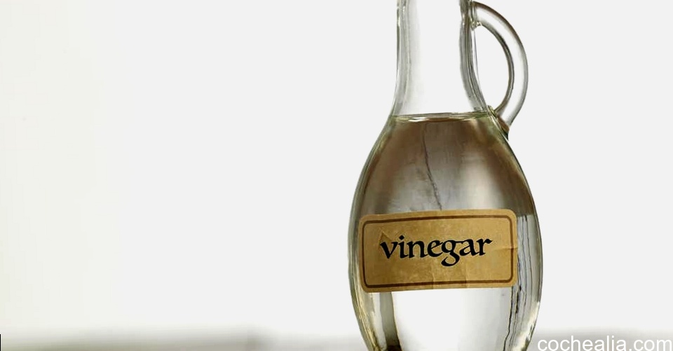 cochealia.com White Vinegar