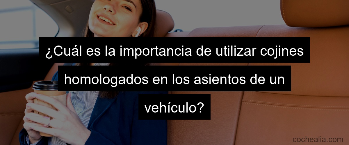 ¿Cuál es la importancia de utilizar cojines homologados en los asientos de un vehículo?