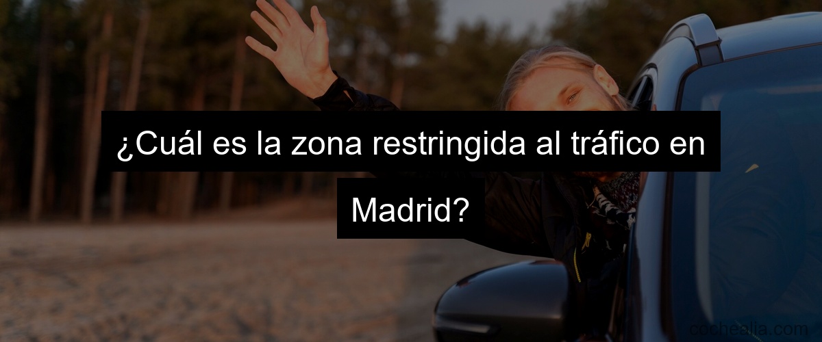 ¿Cuál es la zona restringida al tráfico en Madrid?