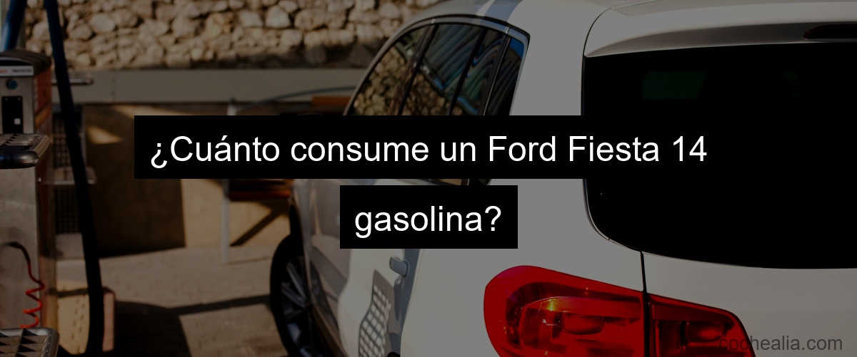 ¿Cuánto consume un Ford Fiesta 14 gasolina?