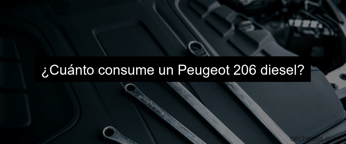 ¿Cuánto consume un Peugeot 206 diesel?