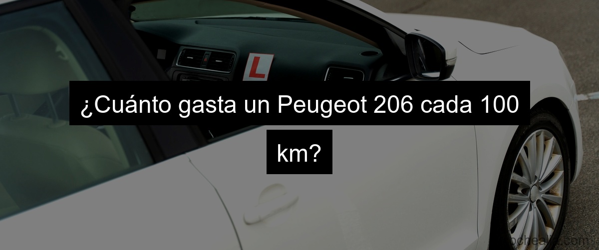 ¿Cuánto gasta un Peugeot 206 cada 100 km?