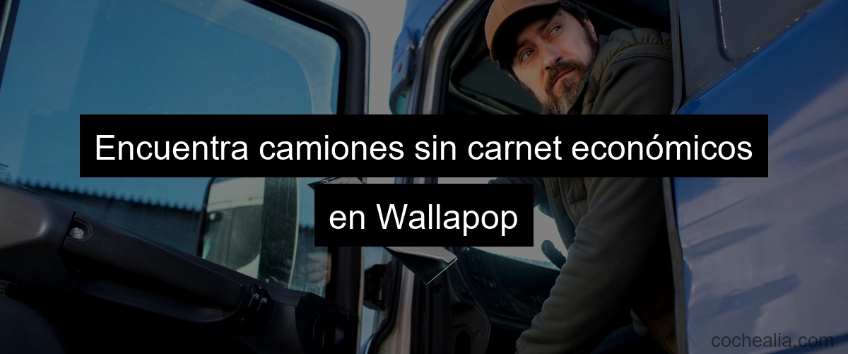 Encuentra camiones sin carnet económicos en Wallapop