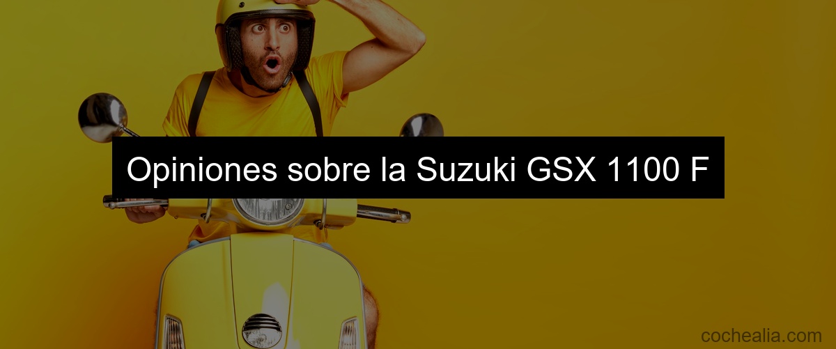 Opiniones sobre la Suzuki GSX 1100 F