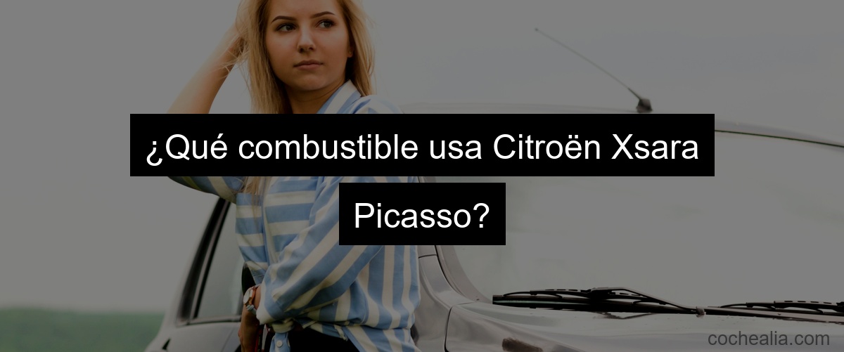 ¿Qué combustible usa Citroën Xsara Picasso?