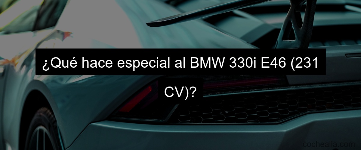 ¿Qué hace especial al BMW 330i E46 (231 CV)?
