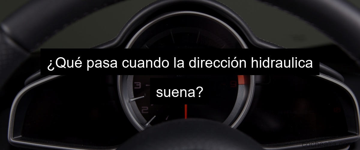 ¿Qué pasa cuando la dirección hidraulica suena?