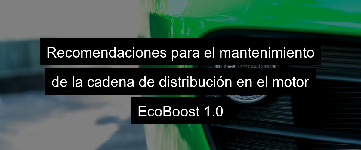 Recomendaciones para el mantenimiento de la cadena de distribución en el motor EcoBoost 1.0