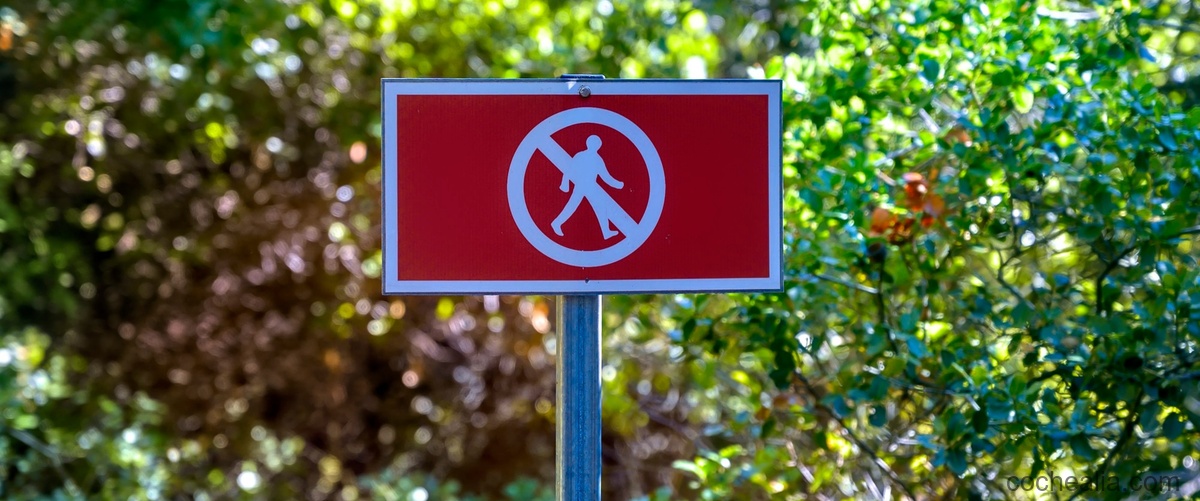 señales de prohibido aparcar con flecha