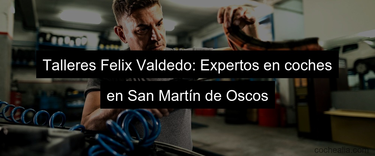 Talleres Felix Valdedo: Expertos en coches en San Martín de Oscos