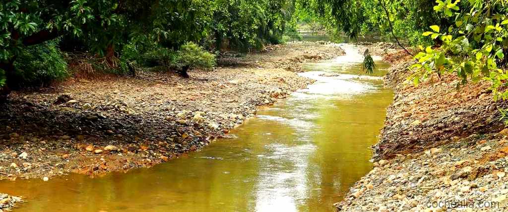 Actividades para realizar en el entorno del río Clariano