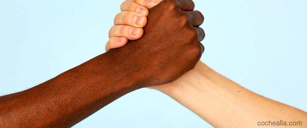 beneficios de ser socio del race 1