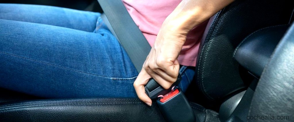 Consejos para fomentar el uso del cinturón de seguridad