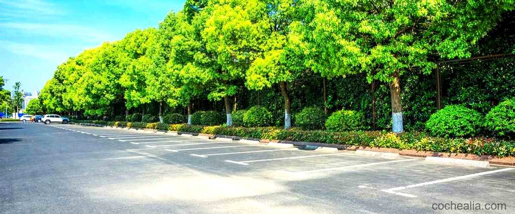 ¿Cuál es el coste del Parking Parque Güell?