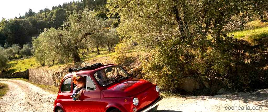 ¿Cuál es el perfil del coleccionista de coches antiguos en España?