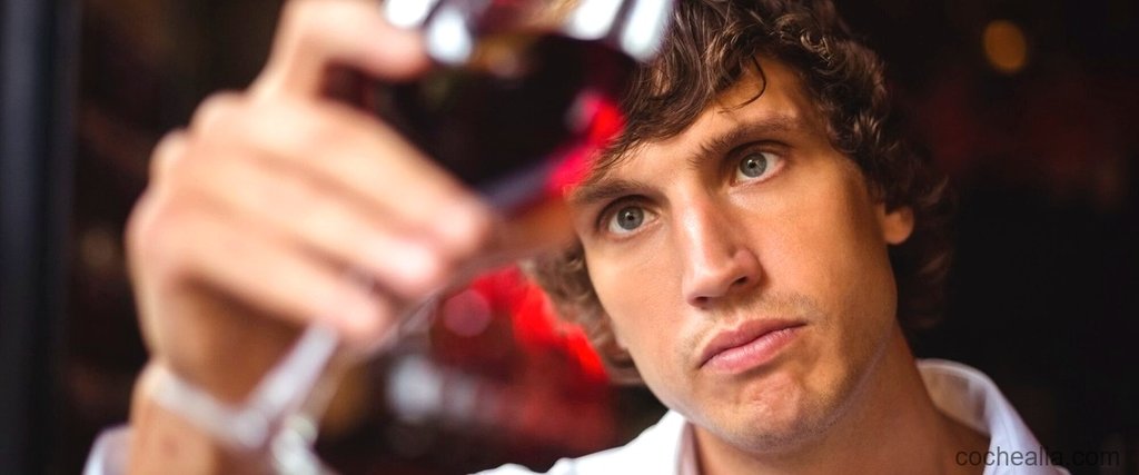 ¿Cuál es la tasa de alcohol permitida en Francia?