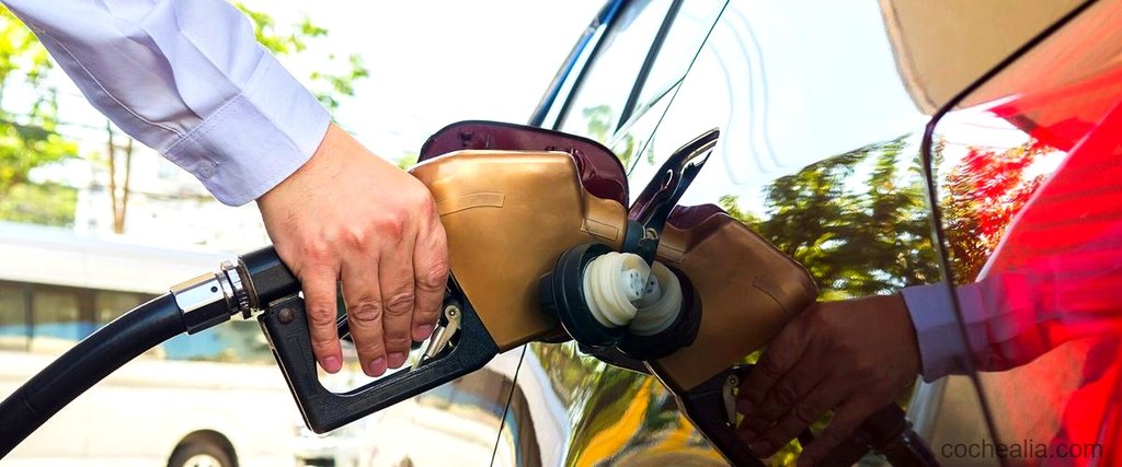 Eliminar los gases del coche de gasolina