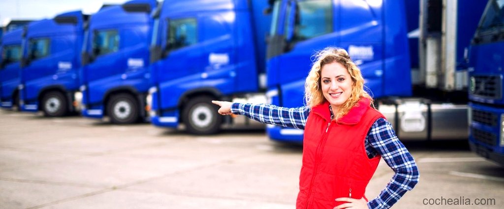Empresas de renting de camiones 3500 kg