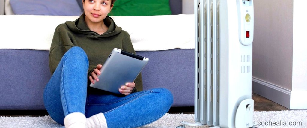 ¿Es posible reparar el calentador roto en casa?