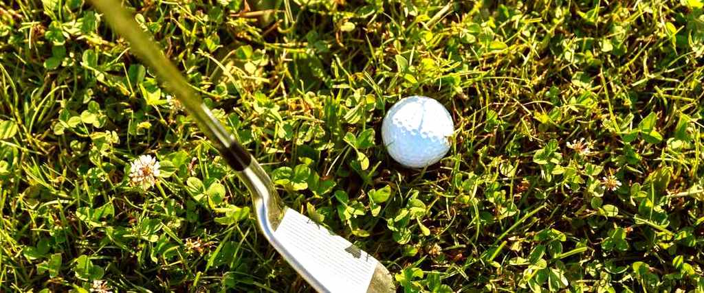 Rendimiento del Golf 2012