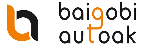 Logo de Coches Baigobi Autoak