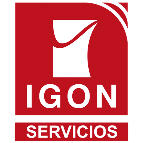 Logo de Igon cleaning car