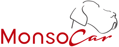 Logo de Monsocar